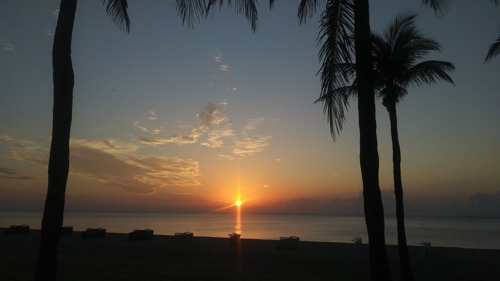 Lever de soleil à Fort Lauderdale en Floride, souvenir Artemisia Pégase lili29